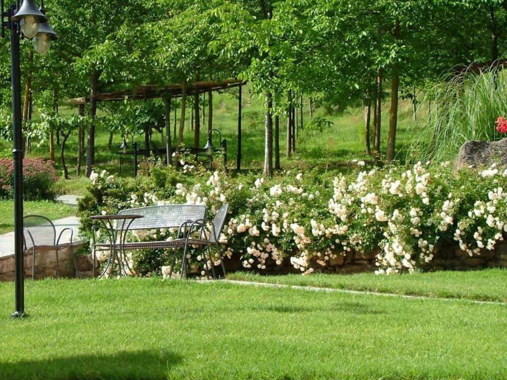 Agriturismo Podere La Casaccia Poppi Εξωτερικό φωτογραφία